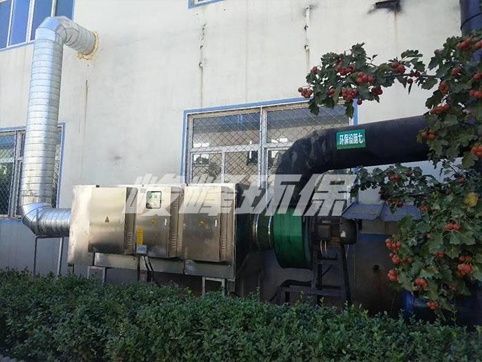 {静电UV光氧光催化净化器